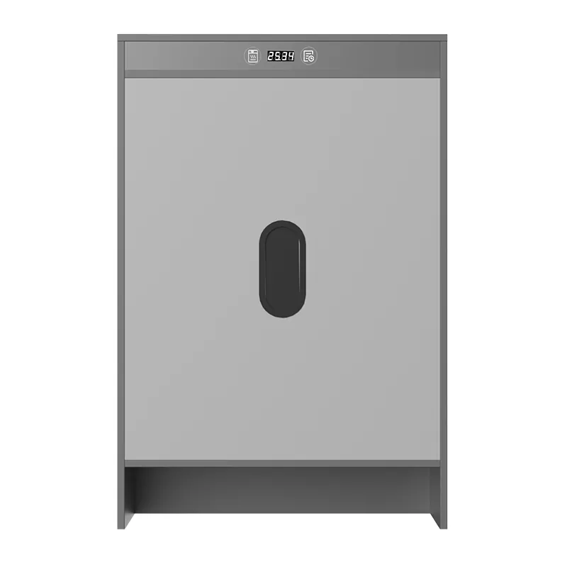 Grafen Electric Heating Timing Shoe Shoe